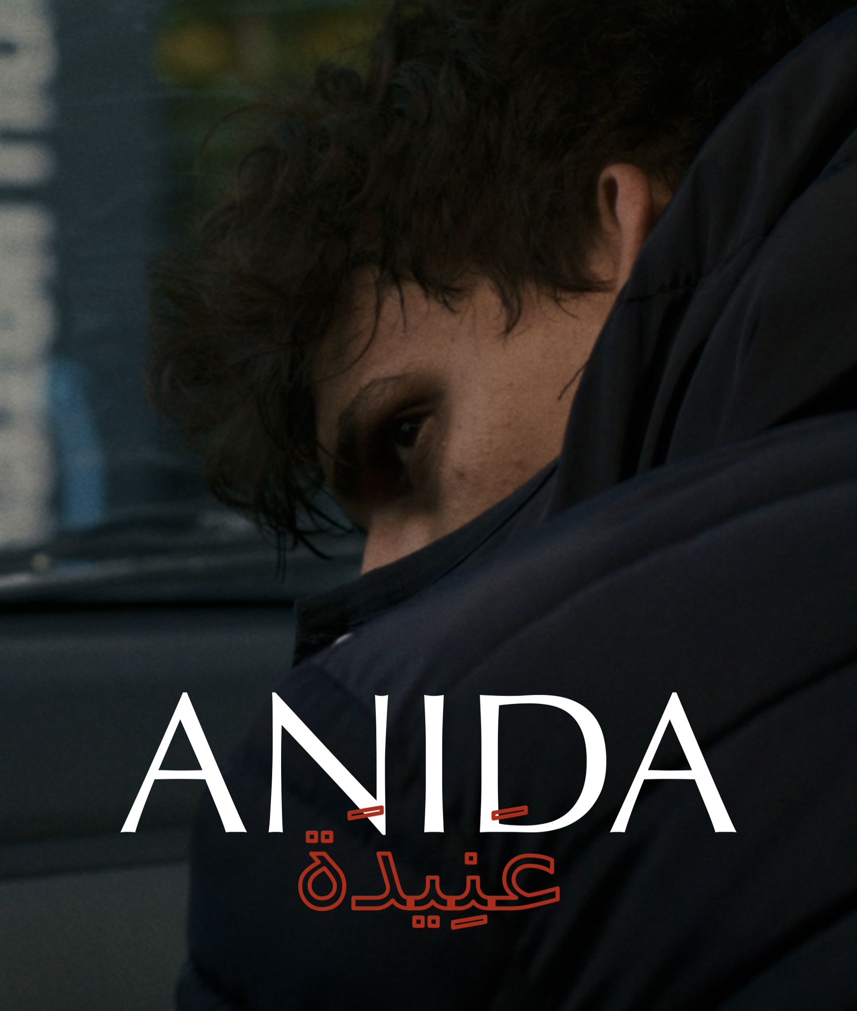ANIDA_foto_2 - Vittorio Arno